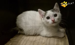 Pauli (Foto by Stefanski)