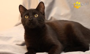 Bernhard (Foto by Tiereck.at - Lavanttaler Tierhilfe)