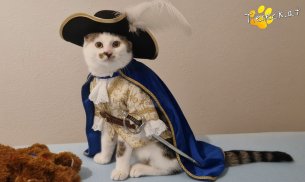 Skidmark (Foto by Tiereck.at - Lavanttaler Tierhilfe)