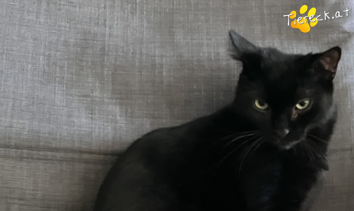 Foto von Rocket & Groot